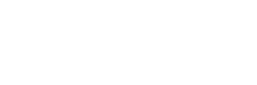 Nesil Otomotiv